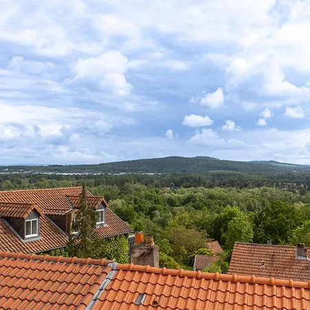 Grenier Du Vigneron - Ruffine - 6p *