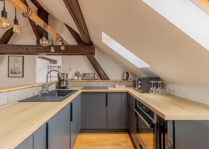 Grenier Du Vigneron - Ruffine - 6p アパート *